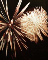 /album/fenykepgaleria/tuzijatek-jpg/