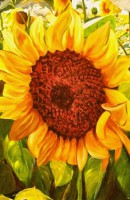 /album/fenykepgaleria/napkereso-jpg/