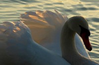 /album/fotogaleria/img-5152-jpg/