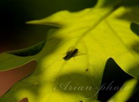/album/fotogaleria/img-9592-jpg/