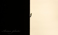 /album/fotogaleria/feherben-jpg/