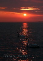 /album/fotogaleria/img-3935-jpg/