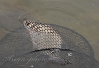 /album/fotogaleria/img-4143-jpg/