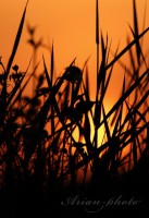 /album/fotogaleria/img-0202-jpg/