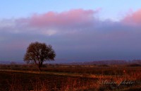 /album/fotogaleria/img-5393-jpg/
