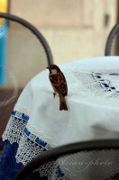 /album/fotogaleria/img-7597-jpg/