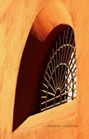 /album/fotogaleria/img-4913-jpg/