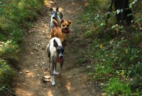 /album/fotogaleria/img-9833-jpg/