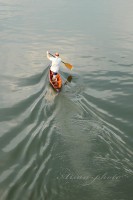 /album/fotogaleria/img-9390-jpg/