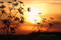 /album/fotogaleria/img-9735-jpg/