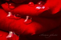 /album/fotogaleria/img-5145-jpg/