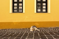 /album/fotogaleria/img-7667-jpg/