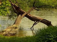 /album/fotogaleria/img-8717-jpg/