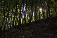 /album/fotogaleria/img-8361-jpg/