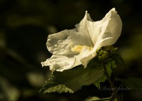 /album/fotogaleria/img-6743-jpg/