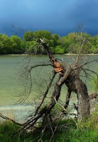 /album/fotogaleria/img-1386-jpg/