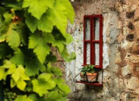 /album/fotogaleria/img-37674-jpg/