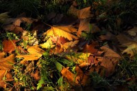 /album/fotogaleria/img-8866-jpg/