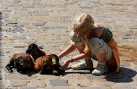 /album/fotogaleria/img-9766-jpg/