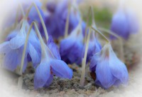 /album/fotogaleria/img-9076-jpg/