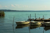 /album/fotogaleria/img-5366-jpg/