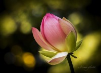 /album/fotogaleria/img-6844-jpg/