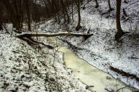 /album/fotogaleria/img-9319-jpg/