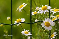 /album/fotogaleria/img-1143-jpg/