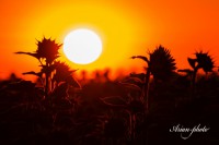 /album/fotogaleria/img-1196-jpg/