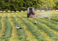 /album/fotogaleria/img-0628-jpg1/