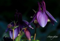 /album/fotogaleria/img-1252-jpg/