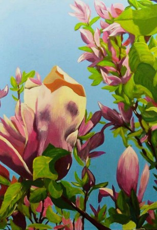 Újjászületés 50x35 cm