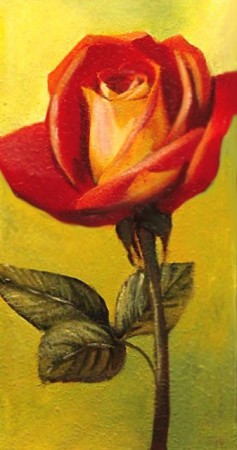 Rózsaszál 15x30 cm