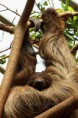 /album/zoo/img-0027-jpg1/