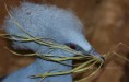 /album/zoo/img-1699-jpg/
