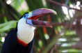 /album/zoo/img-3816-jpg/