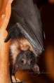 /album/zoo/img-4140-jpg/