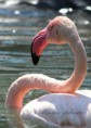 /album/zoo/img-4348-jpg/