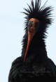 /album/zoo/img-4776-jpg/
