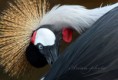/album/zoo/img-5066-jpg/