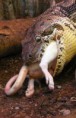 /album/zoo/img-05328-jpg/