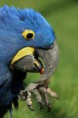 /album/zoo/img-7829-jpg/