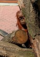/album/zoo/img-8003-jpg/