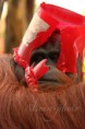 /album/zoo/img-2541-jpg/