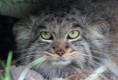 /album/zoo/img-0878-jpg/