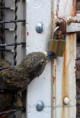 /album/zoo/img-4515-jpg/