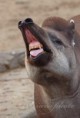 /album/zoo/img-5201-jpg/