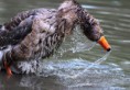 /album/zoo/img-6294-jpg/