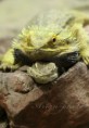 /album/zoo/img-1727-jpg/