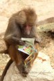 /album/zoo/img-1947-jpg/